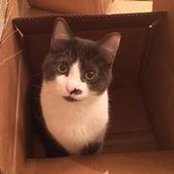 Carrie McPhee's photo