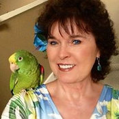 Susanna Madden's photo