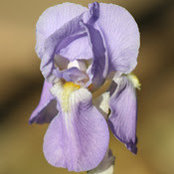 Matt Holden's photo