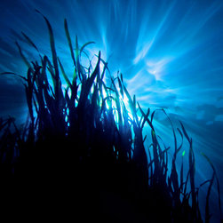The Living Light - Fine Art Prints