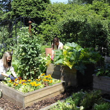 Standard and Superior Raised Beds GDN-472 GDN-474