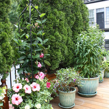 Wisteria & Rose roof deck designs. Visit www.wisteriaandrose.com for more info!
