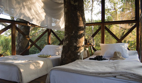 Dream Spaces: 11 Amazing Tree Houses That You Can Stay in