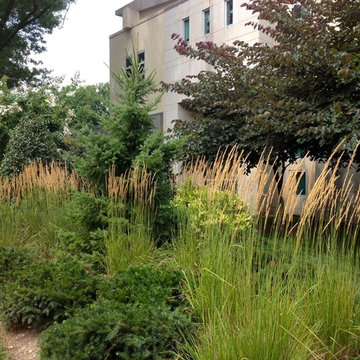 Beth El on Old Georgetown Rd, Bethesda