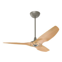 Ceiling Fans