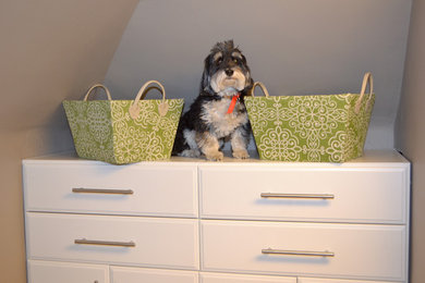 Trendy carpeted closet photo in Other with flat-panel cabinets and white cabinets