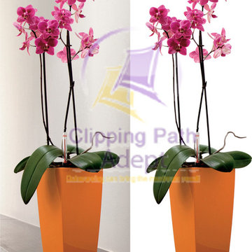 Clipping Path Service