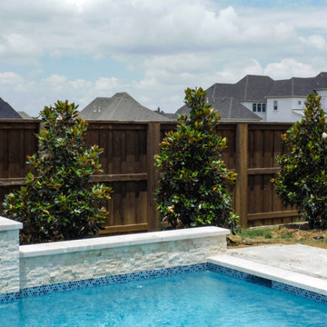 Poolside Landscapes