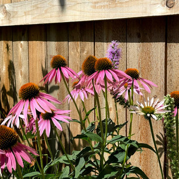 West Town Woodland and Prairie Pollinator Gardens