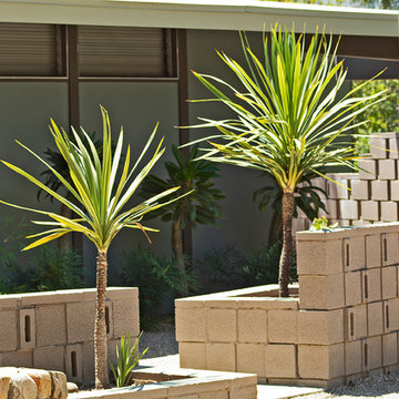 New 1-Year-Old Garden