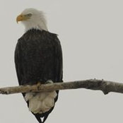 Arlene Stubbs's photo