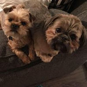 Maegan DePalma's photo