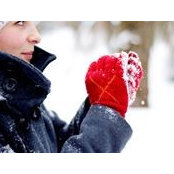 Susanne Weigl's photo