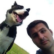 Dan Levy's photo