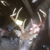 Stephen Golden-thomas's photo