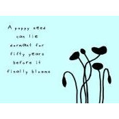 Paulette Phelan Kelly's photo