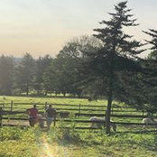 Diana Stoner's photo