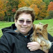 Donna Cipriano's photo