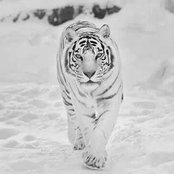 Mike Russell's photo