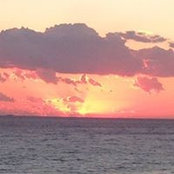 Donnie Robinson's photo