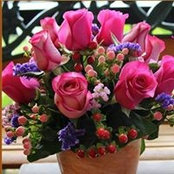 Francine Baker's photo