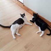Jeff Connor's photo
