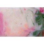 Becca Whetstone's photo