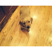 Missy Haussler's photo