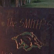 Tom Smithさんの写真