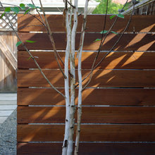 Fence -