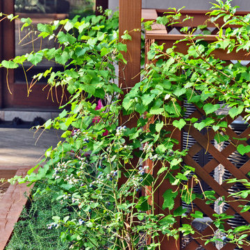 Bocce ball and food in Montrose