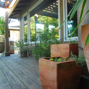 North Los Altos Backyard Entertainment