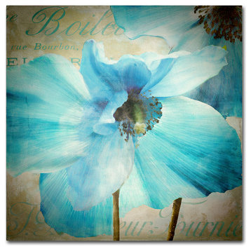 Color Bakery 'Himalayan Blue II' Canvas Art, 24"x24"