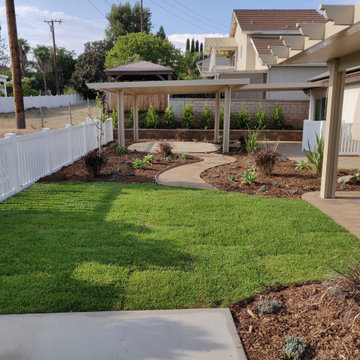 Backyard Overview