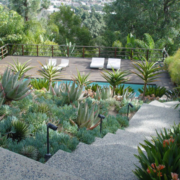 RICHARD NEUTRA - Wirin House/Seliger Residence