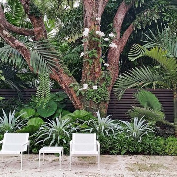 Oak Garden at Silver Bluff | Miami, FL
