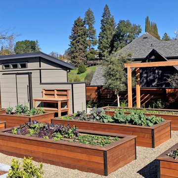 Farm to table raised-bed garden