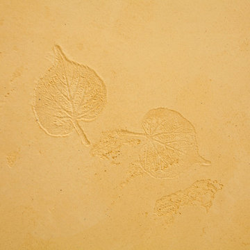 New Home Lime Plasters