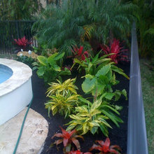 Backyard landscape