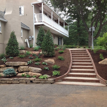 Side Garden with Steps