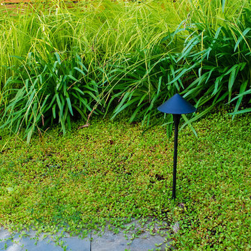 Lake Cottage Landscape Renovation