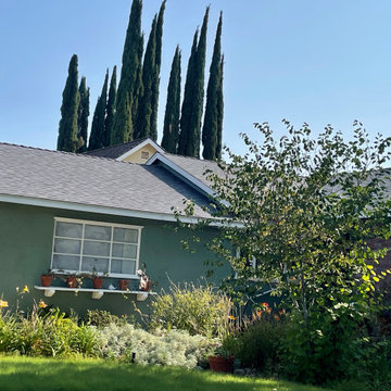 Canoga Park Los Angeles Shingle Roof Project