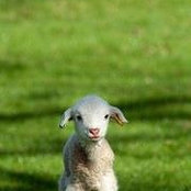 Beth Madill's photo