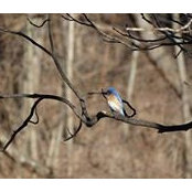 Margie Shaw's photo