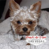 Marsha Blackard's photo