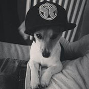 Foto von Jô Nas