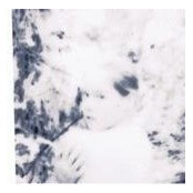 Noveda Quinn's photo