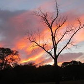 Patty Canavan's photo