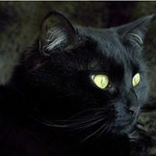 Foto von Marilyn Campbell