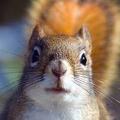 Donna Haye's photo